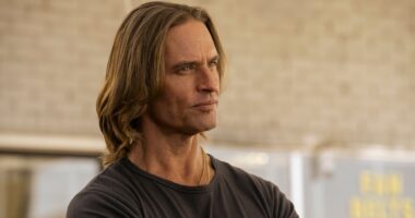 Were Elvis Presley's Blue Suede Shoes Ever Stolen in Real Life? The True Story Behind 'Duster's Heist Episode