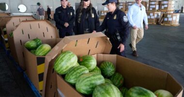 What 150 years of stock-market data says about performance during high-tariff eras