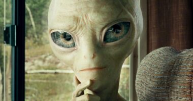 What Happens In The Simon Pegg & Nick Frost Sci-Fi Movie