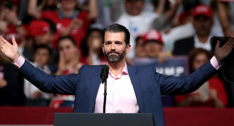 White House Fumes Over Don Jr's Media Treatment.
