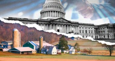 Why America’s dangerous need for imported food is a crisis waiting to happen