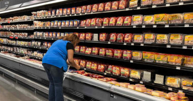 Why Goldman Sachs says tariff price hikes won’t trigger an inflation surge