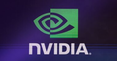 Why Nvidia investors are cheering Trump’s likely dismantling of Biden’s AI chip rules