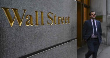 Why corporate bonds may be ‘fairly guarded’ from Moody’s downgrade of U.S. debt