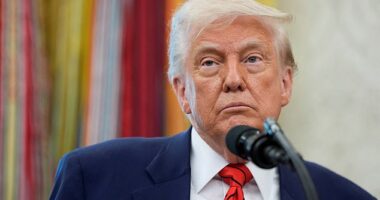 What is different about a glitzy night with Donald Trump, expected to take place next week, is that the guests aren't being rewarded for services to the US or charity - but for services to the Trump private bank account