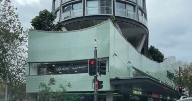 Hundreds of diners have been queuing outside an unassuming shop in Sydney to be the first in the country to taste the wildly popular Wingstop menu items (picture of the crowd on Sunday)