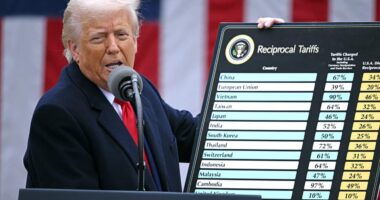 Why the stock rally may be in trouble after the White House ‘backtracked’ on tariffs