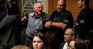 Ben & Jerry's co-founder Ben Cohen was arrested and escorted out of a Senate hearing for disrupting the questioning