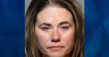 Woman Aboard Plane Attacks Child Who Called Her ‘Fat’ and ‘Miss Piggy’ for Not Fitting ‘In Her Seat’: Police