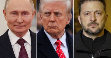 Zelensky agrees to Putin-proposed meeting in Turkey after Trump demands they negotiate end of war