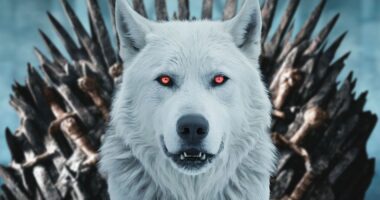 ‘Game of Thrones’ Failed the Direwolves in More Than One Way