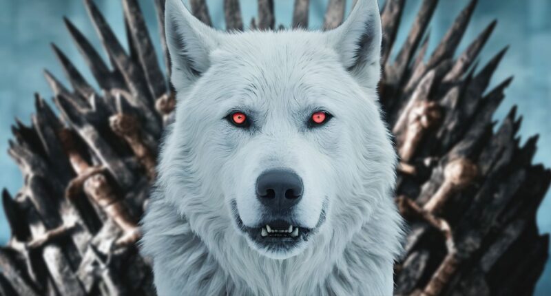 ‘Game of Thrones’ Failed the Direwolves in More Than One Way