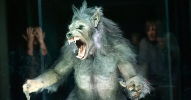 10 Best 2010s Monster Movies, Ranked