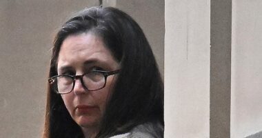 Erin Patterson mushroom murder trial LIVE updates: Patterson reveals messages she 'regrets' sending about lunch guests - in second day of cross examination