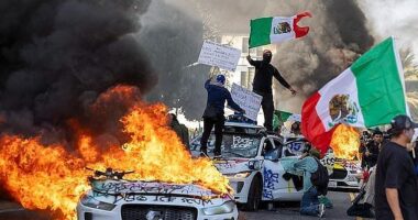 Rioters have set fire to driverless cars and been pictured waving Mexican flags and anti-ICE placards in LA