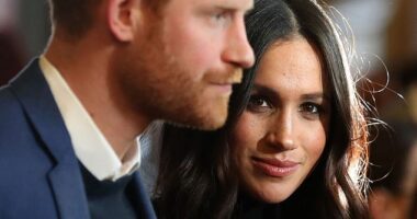 Of all the people they could have chosen, Prince Harry and Meghan have turned to the PR executive who was responsible for promoting Netflix's controversial Royal Family drama The Crown to manage their public image