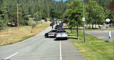 Police officers and firefighters who responded to the scene of a brush fire in Coeur d'Alene, Idaho were reportedly shot at