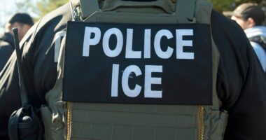 A Houston woman called the cops to report domestic abuse. They then called ICE.