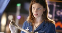 A Surprisingly Great Bones Replacement Is This 6-Season Supernatural Show With 87% On Rotten Tomatoes