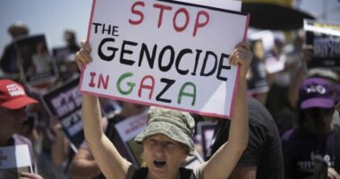 Activists In Egypt Dissolve in Tears When March to Gaza Denied – HotAir