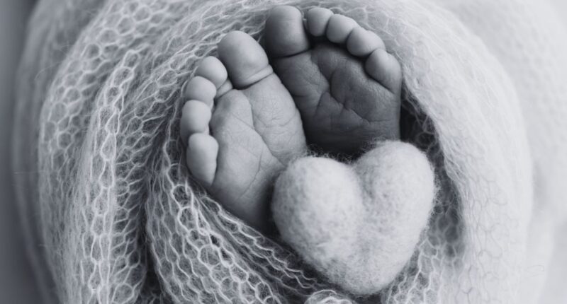 baby feet