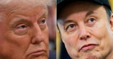 After a public breakup,  Trump/Musk may reportedly be ready to talk. Tesla shares are bouncing.