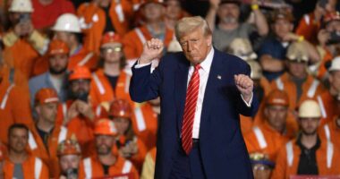 After the TACO trade, here comes the ‘Trump Collar.’ Here’s what that means for stocks.