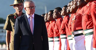 Primie Minister Anthony Albanese (pictured in Fiji on Friday) spoke out ahead of the G7 Summit in Canada