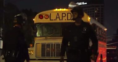 Almost 200 Pro-Illegal Immigrant Agitators Arrested in Downtown LA.