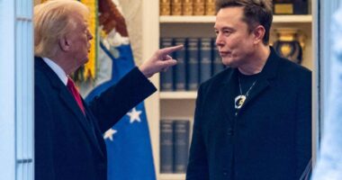 Almost everything you’ve read about the Trump-Musk feud is probably wrong