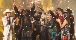 'American Idol' Winner Shocks Fans With Controversial Decision