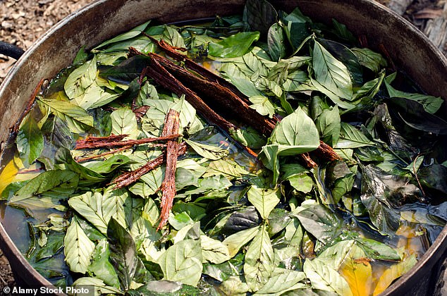 An American tourist has died after taking ayahuasca  in the Peruvian Amazon