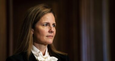 Amy Coney Barrett's Stinging Rebuke of Ketanji Brown Jackson in Injuctions Ruling Lights Up X – RedState