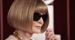 Anna Wintour has stepped down from her famed Vogue role in a shock career decision