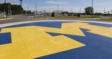 Another Chinese Scientist Arrested for Smuggling Biological Material Into the US – HotAir