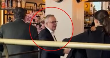Anthony Albanese was spotted being wined and dined by Dan Andrews in a luxury Melbourne restaurant just days before he was due to meet Donald Trump. The pair were pictured tucking in to a long lunch last Wednesday at the upmarket eatery Gimlet at Cavendish House in Melbourne's CBD.