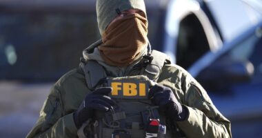 Anti-ICE Activists Help Wanted Criminal Escape Arrest – RedState