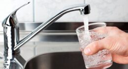 tap water