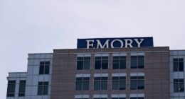 Oh Wow! Atlanta Georgia Emory University Hospital Delivers Baby From Brain-Dead Woman On Life Support (DETAILS) Adriana Smith