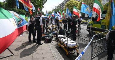 Officers and paramedics swooped on Princes Gate, Knightsbridge, scrambling to detain suspects and treat the injured activists