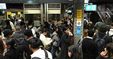 Australia's economic output is going backwards again in a clear sign the country is less productive as immigration soars (pictured is Sydney's Town Hall train station)