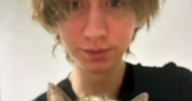 Arthur A., a 21-year-old from a suburb of Graz, was pictured holding a cat in the first images to emerge since the horrifying attack.