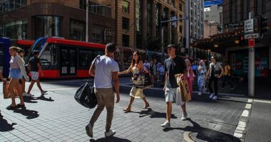 Aussie borrowers have been told to downplay their expectations of mega rate cuts - despite concerns about Donald Trump 's tariffs