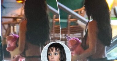 Bianca Censori shields her barely-there outfit with a teddy bear during LA outing