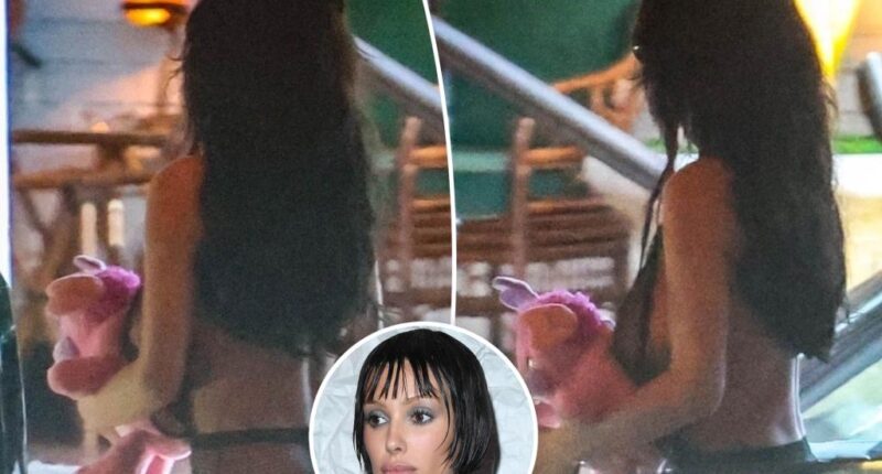 Bianca Censori shields her barely-there outfit with a teddy bear during LA outing