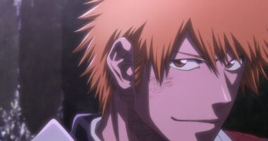 Bleach's Creator Knows the Perfect Spinoff for Ichigo, But He's Not Telling Anyone About It