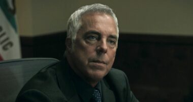 Bosch Star Titus Welliver Lands New Crime Drama Series After Bosch: Legacy's Cancelation