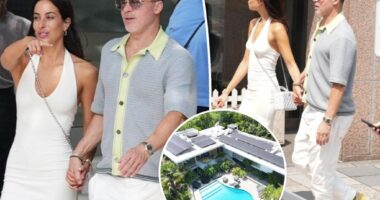 Brad Pitt, Ines de Ramon shop in Tokyo after his LA home was 'ransacked' by burglars