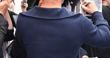 Hollywood hunk Brad Pitt appears to be suffering from a bit of hair loss