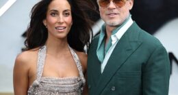 Actor Brad Pitt 's California home was broken in and terrorized by thieves after the scaled a fence to get inside on Wednesday